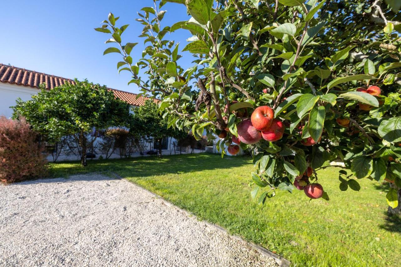 Casa Da Lagoa E Forja - Turismo Rural Mira  Buitenkant foto